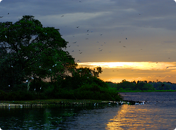 Bundala National park